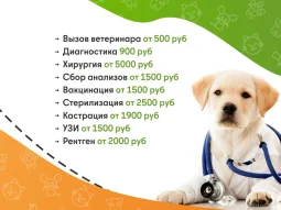 Ветеринарная служба ВетСкорая24 на Краснодарской улице фотография 2