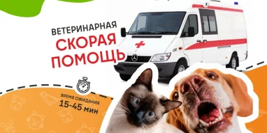 Ветеринарная служба ВетСкорая24 на Краснодарской улице фотография 3