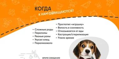 Ветеринарная служба ВетСкорая24 на Краснодарской улице фотография 5
